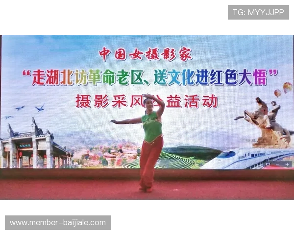 深入了解龙宝百家乐的文化背景与行业动态把握行业脉搏